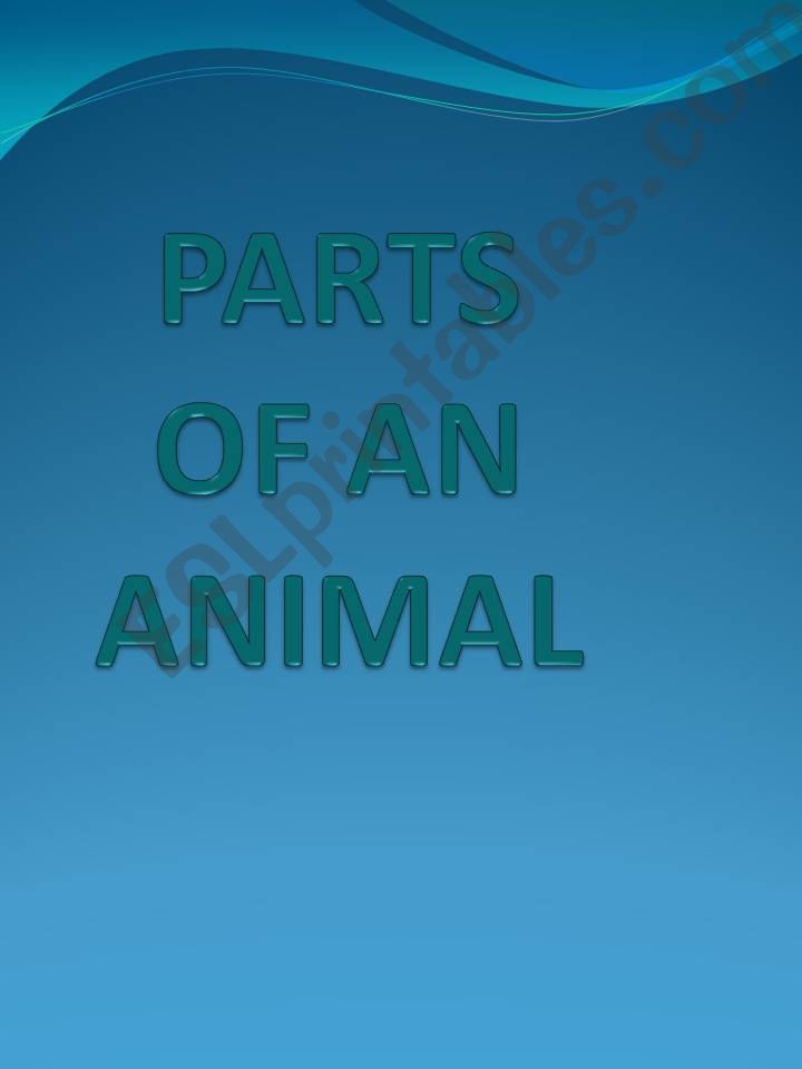 parts of animals powerpoint