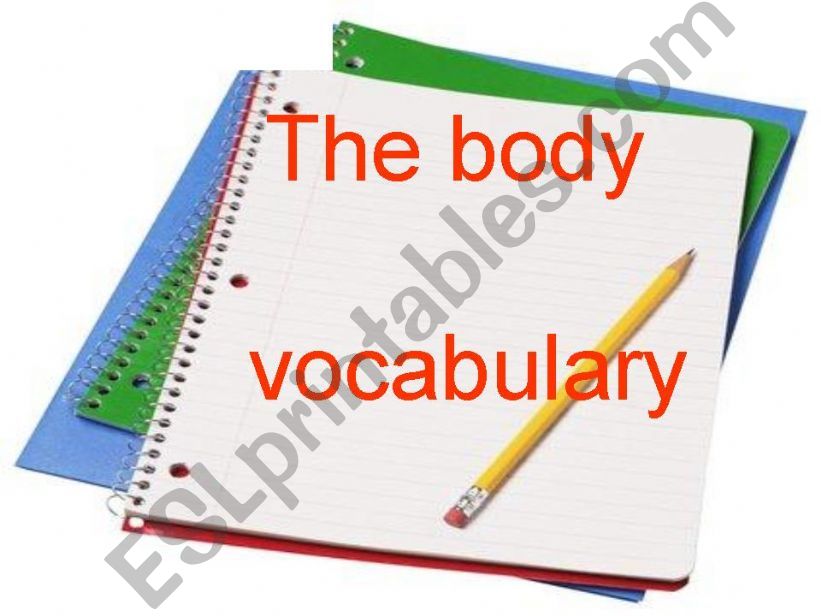 the body, vocabulary powerpoint