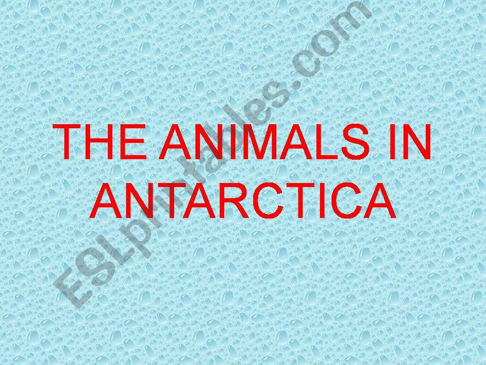 ANTARCTICA powerpoint