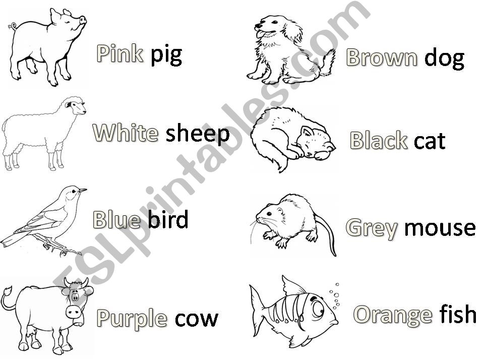 Colour the Animals powerpoint