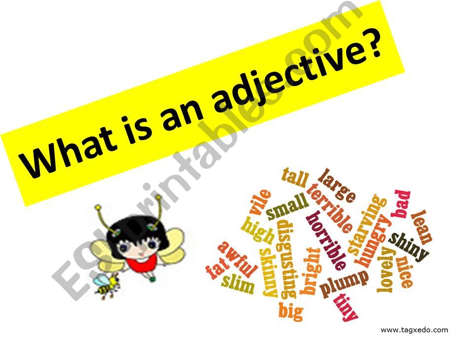 what is an adjective? powerpoint