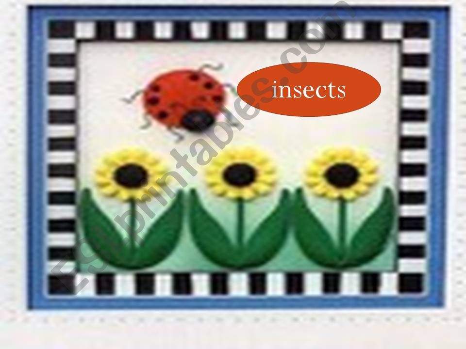 insects powerpoint