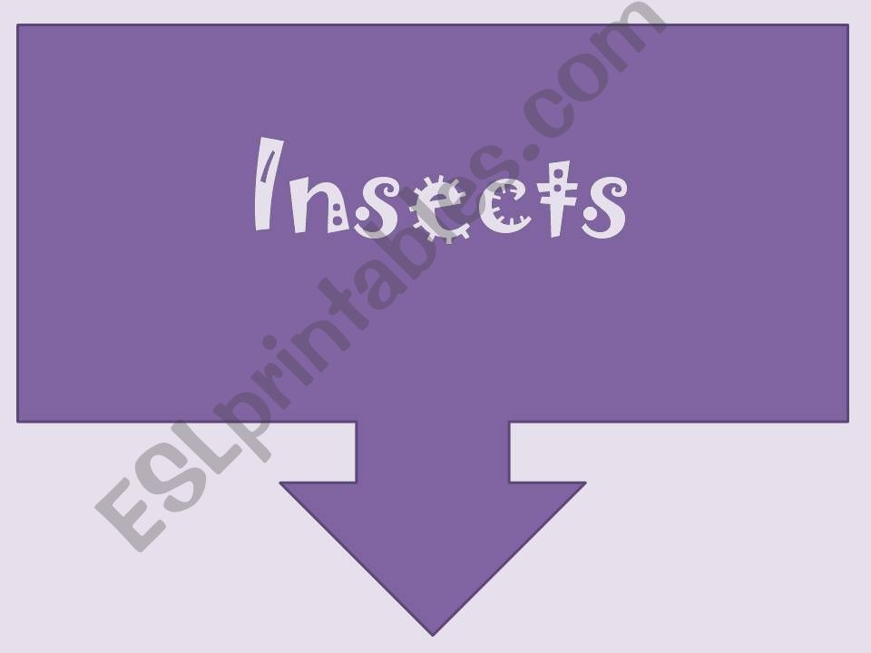 INSECTS powerpoint