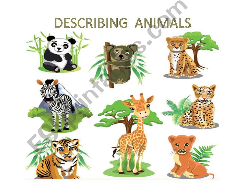 ESL - English PowerPoints: Describing Animals
