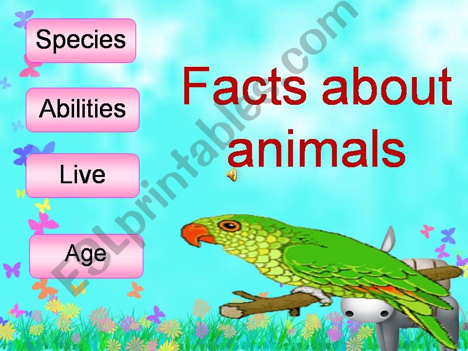 facts about animals part  3  with aminated pictures