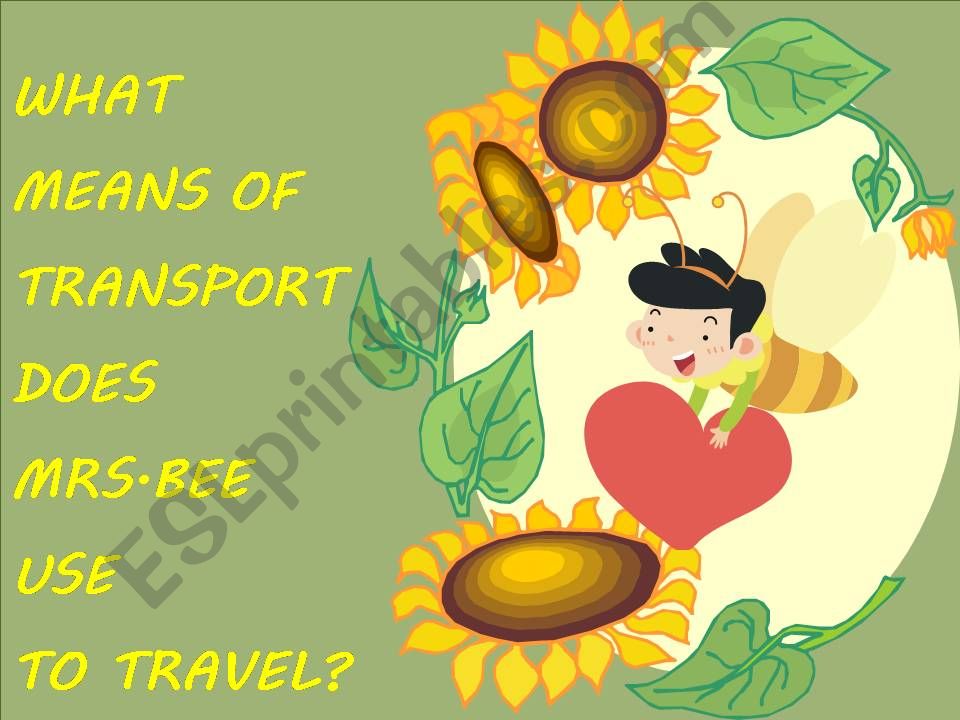 Mrs.Bees Means of Transport powerpoint