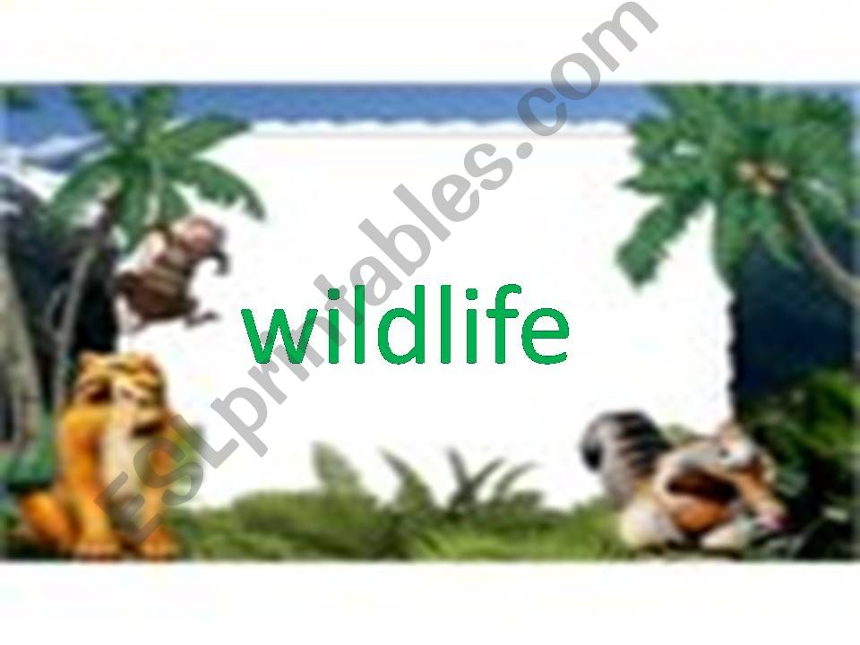 wildlife powerpoint
