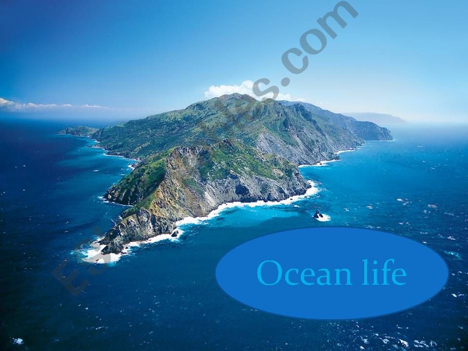 oceanlife powerpoint