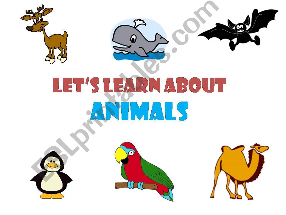 lets learn about animals powerpoint