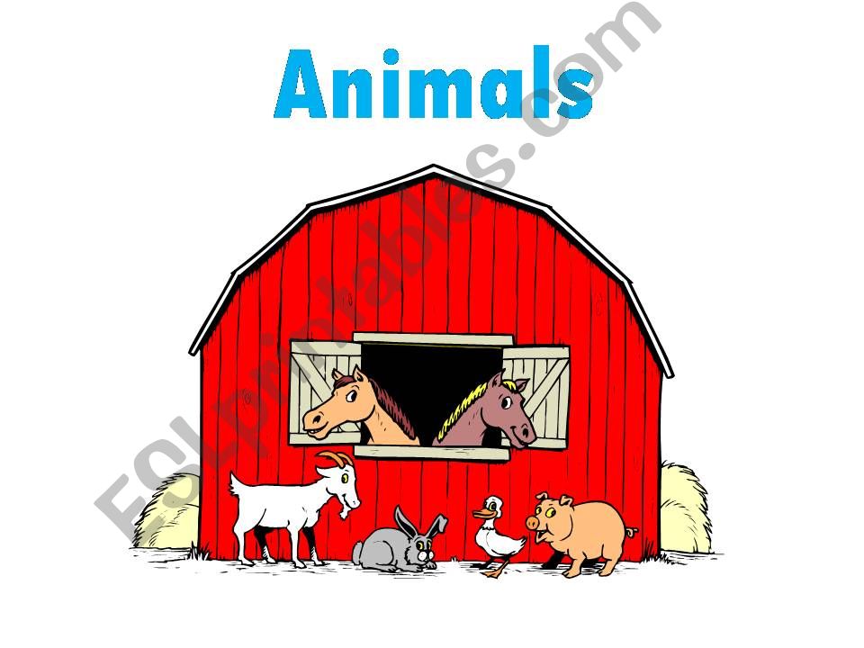 animals powerpoint