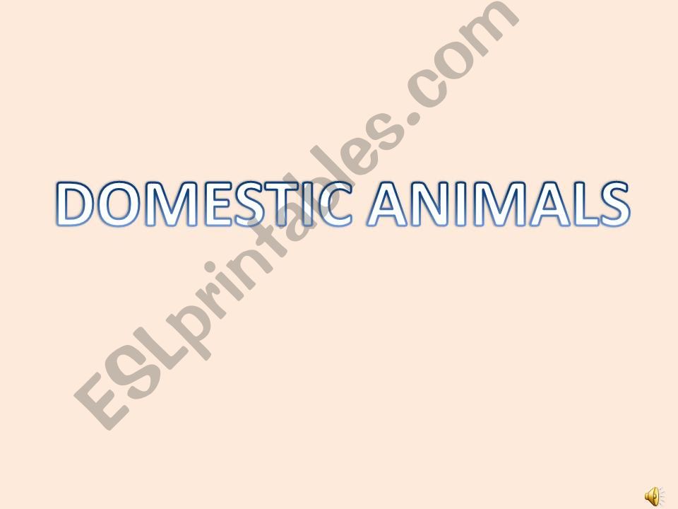 Domestic Animals  powerpoint