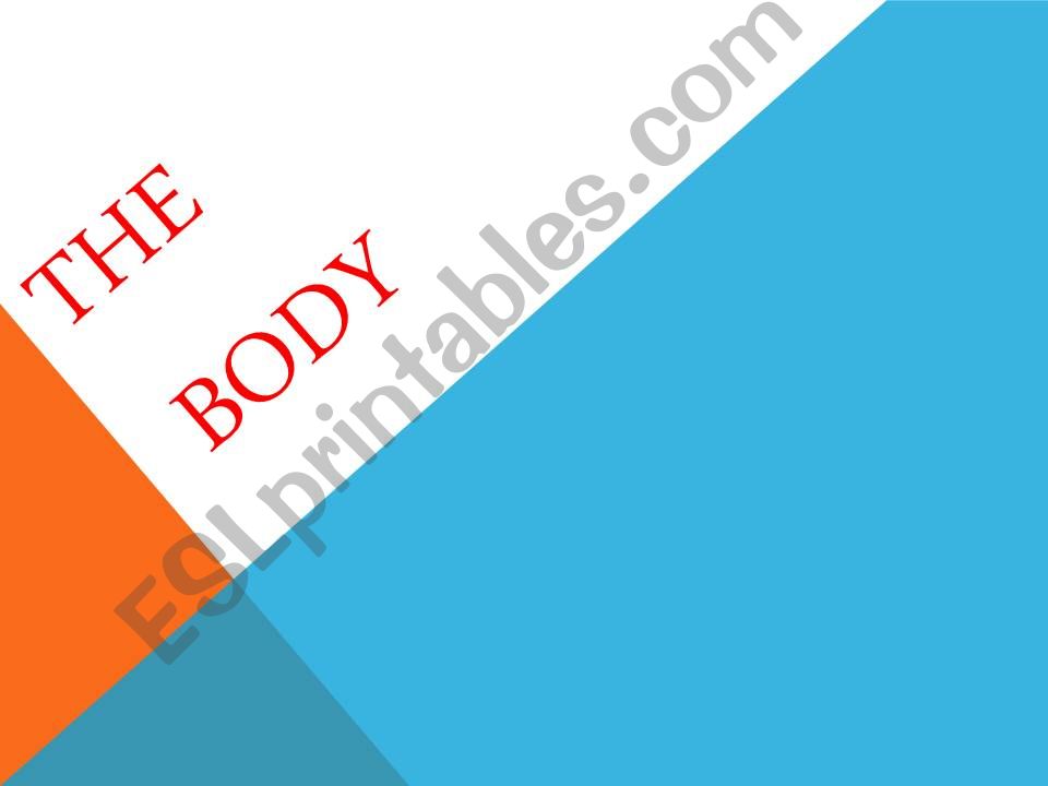 The Body powerpoint