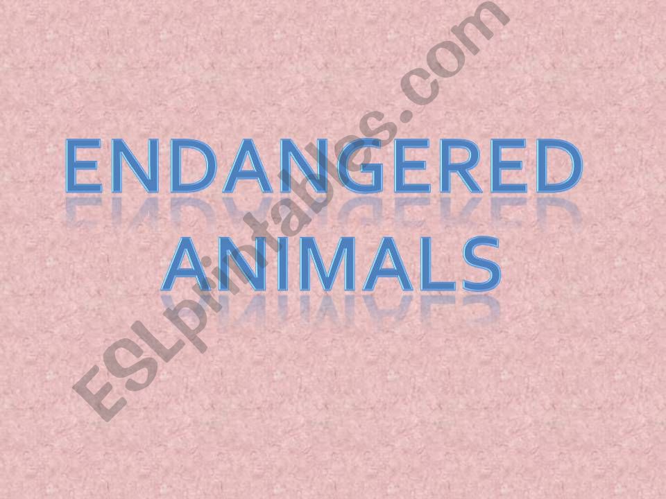 Endangered Animals powerpoint