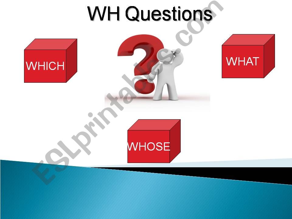 Which- What- Whose powerpoint