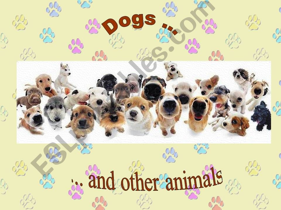 dogs... and other animals powerpoint