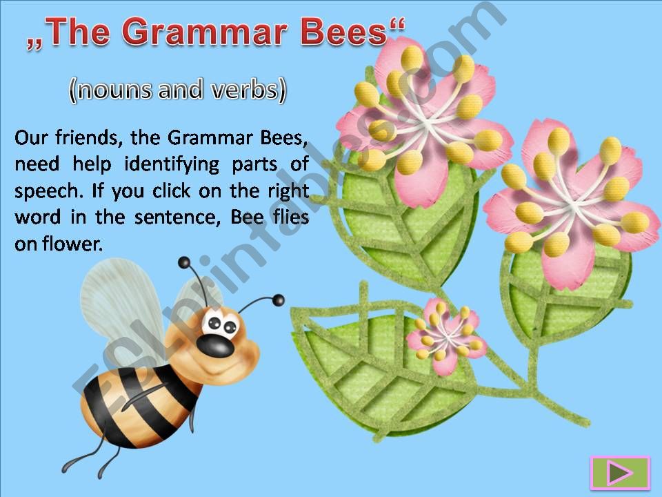 The Grammar Bees powerpoint