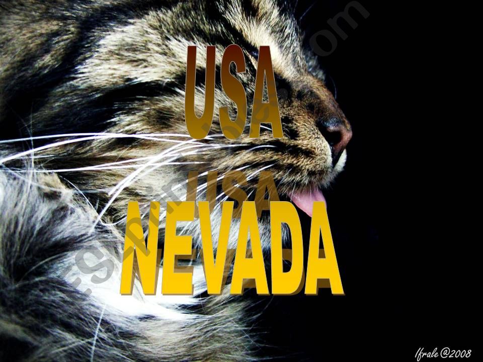 Usa state : nevada  powerpoint