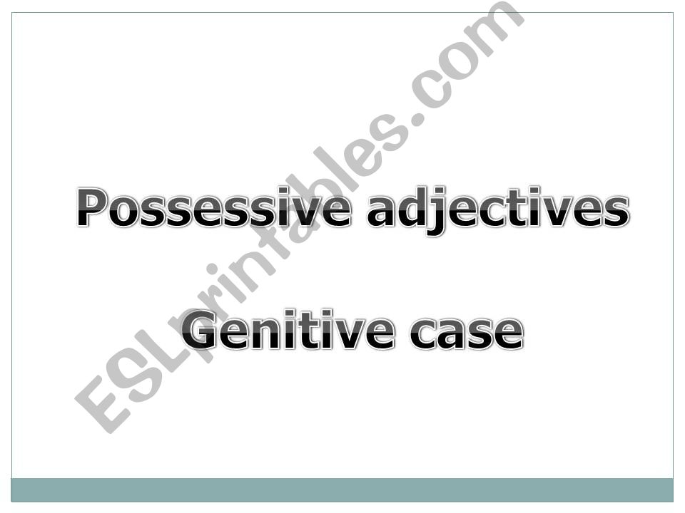 Possessive Adjective and Genitive case