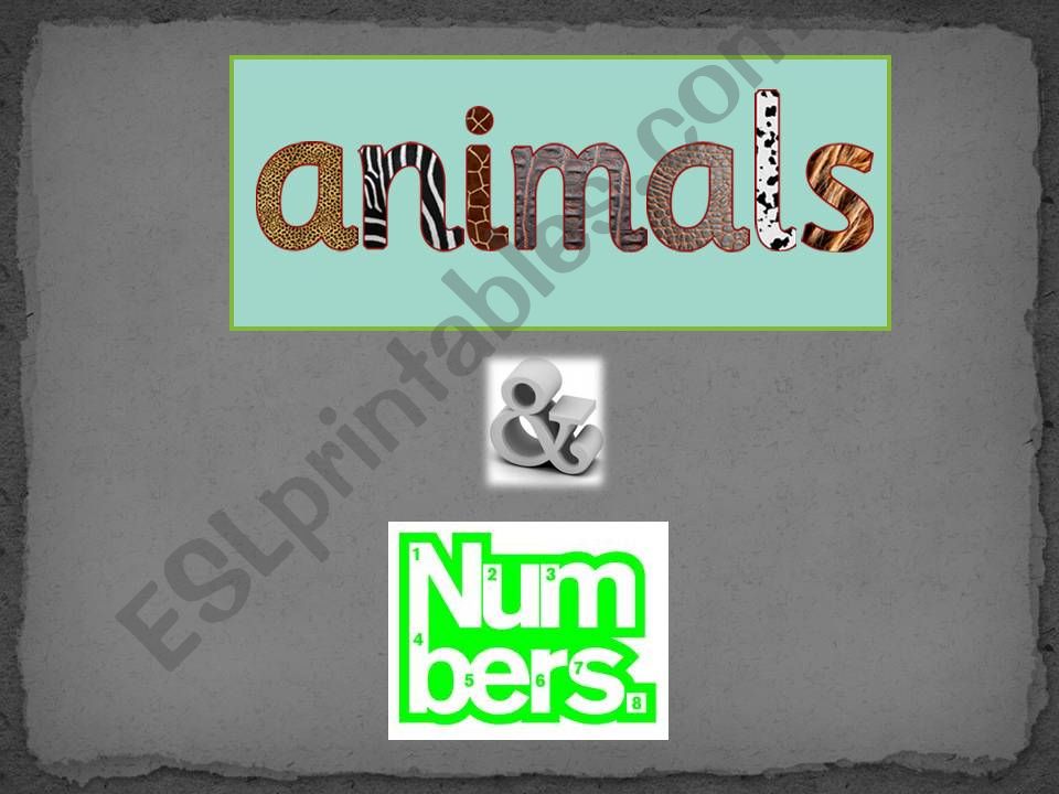 ANIMALS AND NUMBERS powerpoint