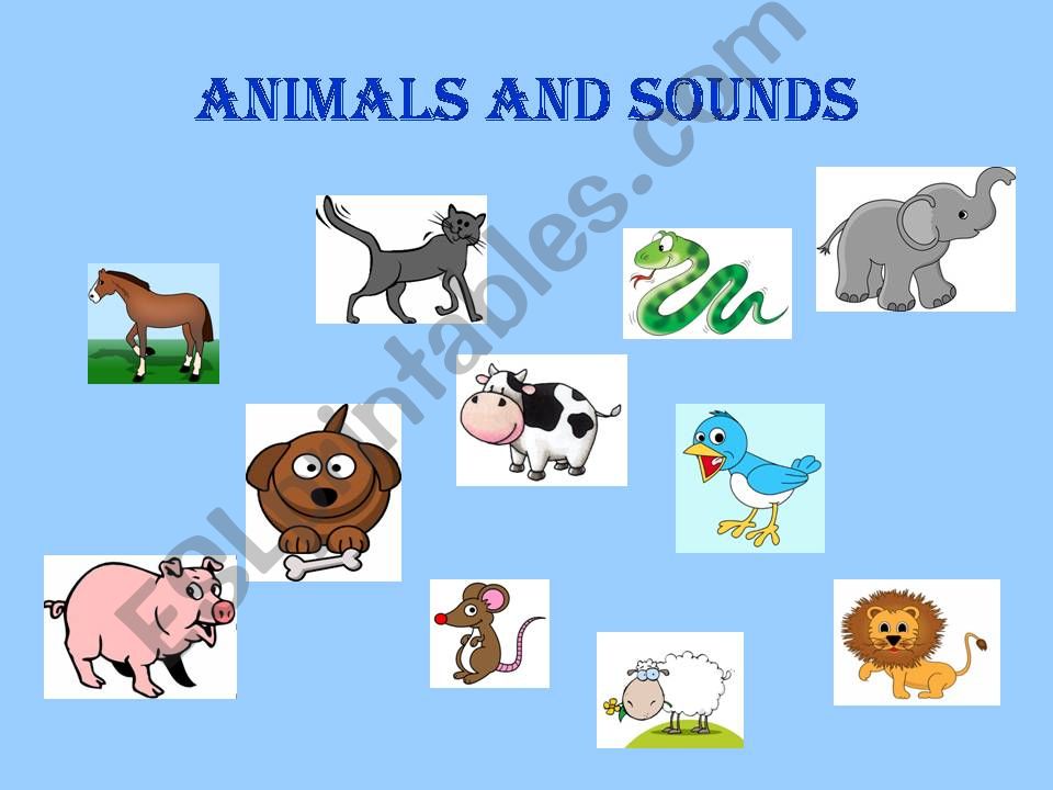 ESL - English PowerPoints: Animal Sounds 1/2