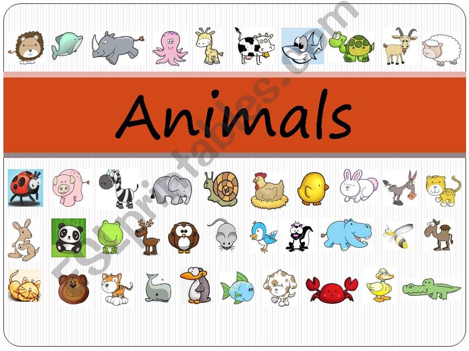 animals powerpoint