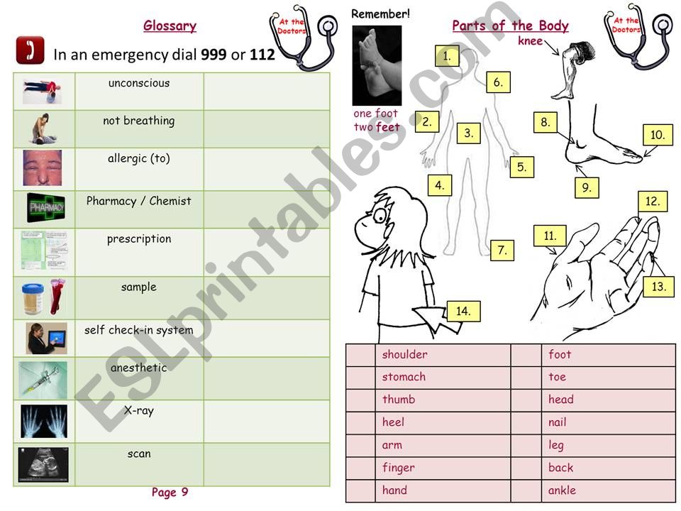 At the Doctors, Hosipital and Dentist Medical Booklet (Part 2 of 4)