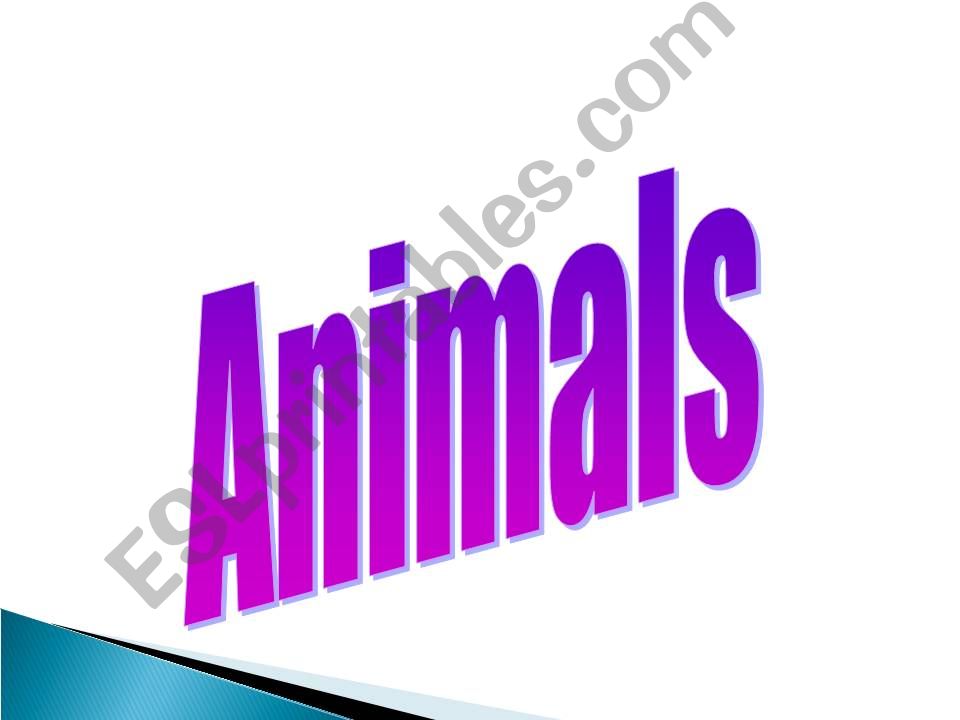 animals powerpoint