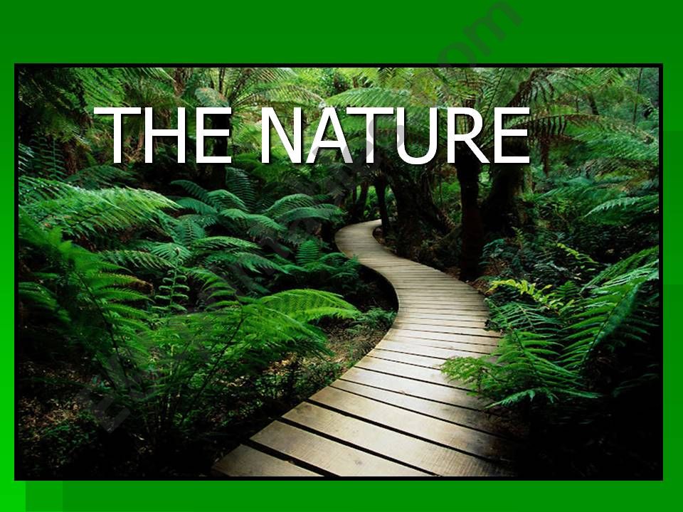 the Nature powerpoint
