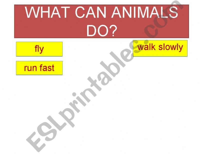 (PART 2)WHAT CAN ANIMALS DO? powerpoint