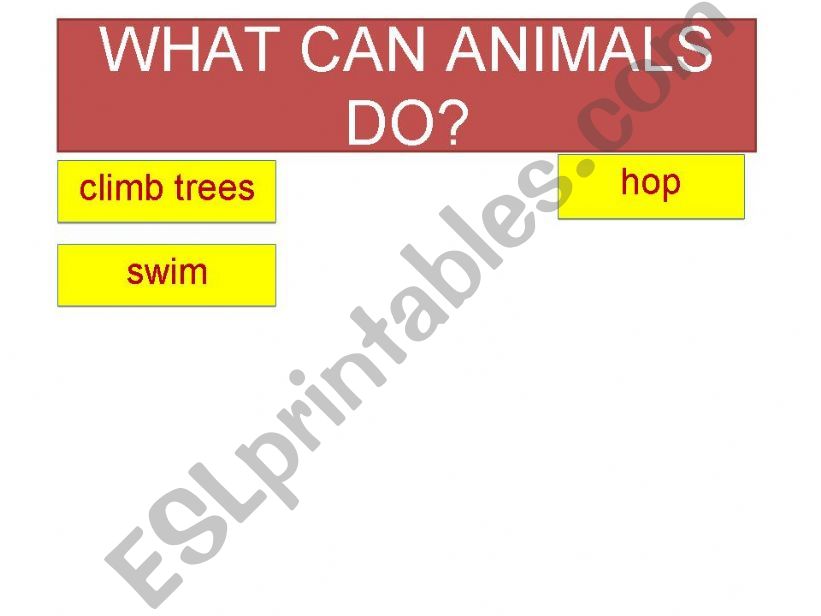 (PART 3)WHAT CAN ANIMALS DO? powerpoint