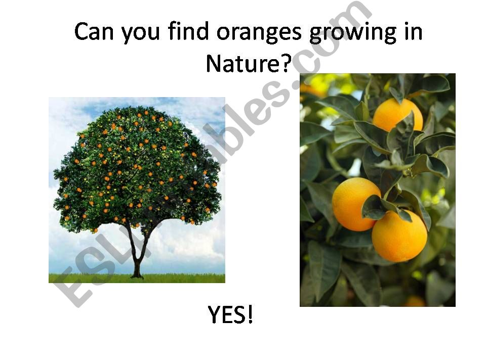 Man Made vs. Nature Part 2 powerpoint