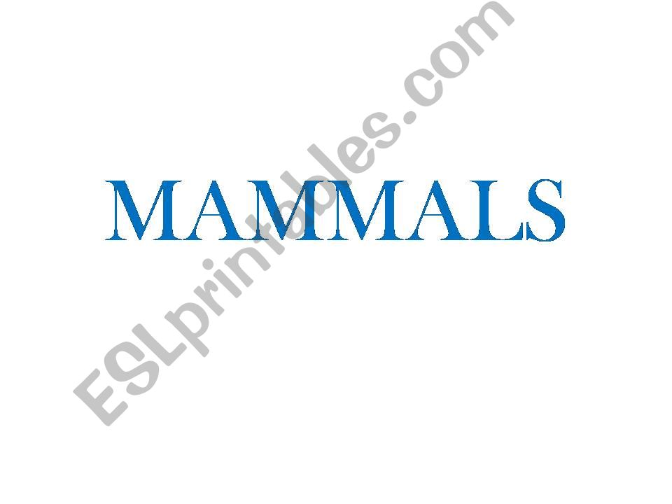 MAMMAL powerpoint