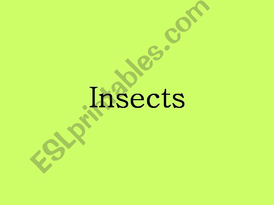 Insects powerpoint