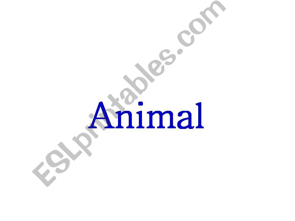 Animals powerpoint