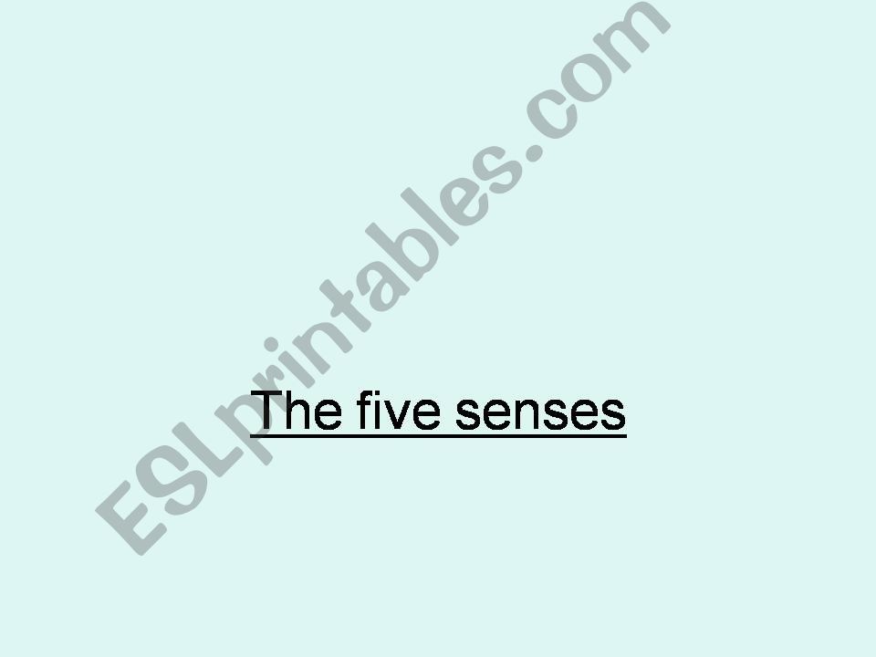The Five Senses powerpoint