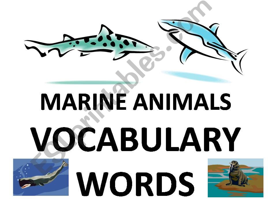 Marine Animals powerpoint