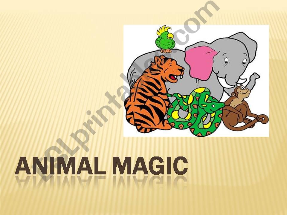 animal magic powerpoint