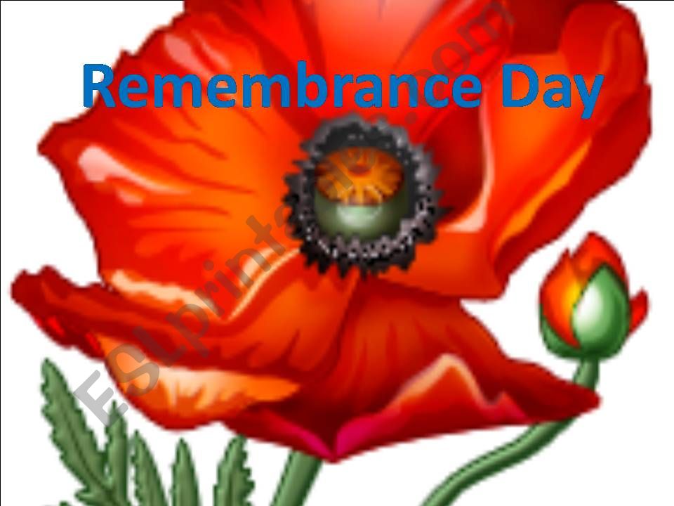 Remembrance Day Part 1 powerpoint