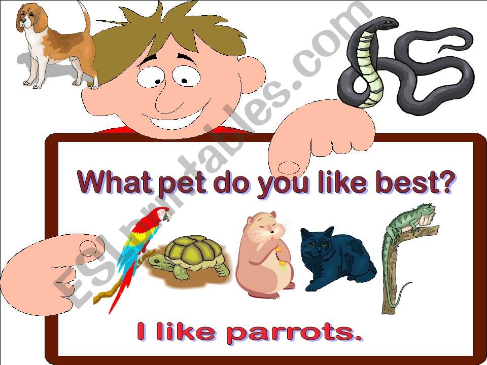                                  pets