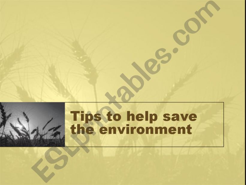 Tips to help save the environment (23.12.08)