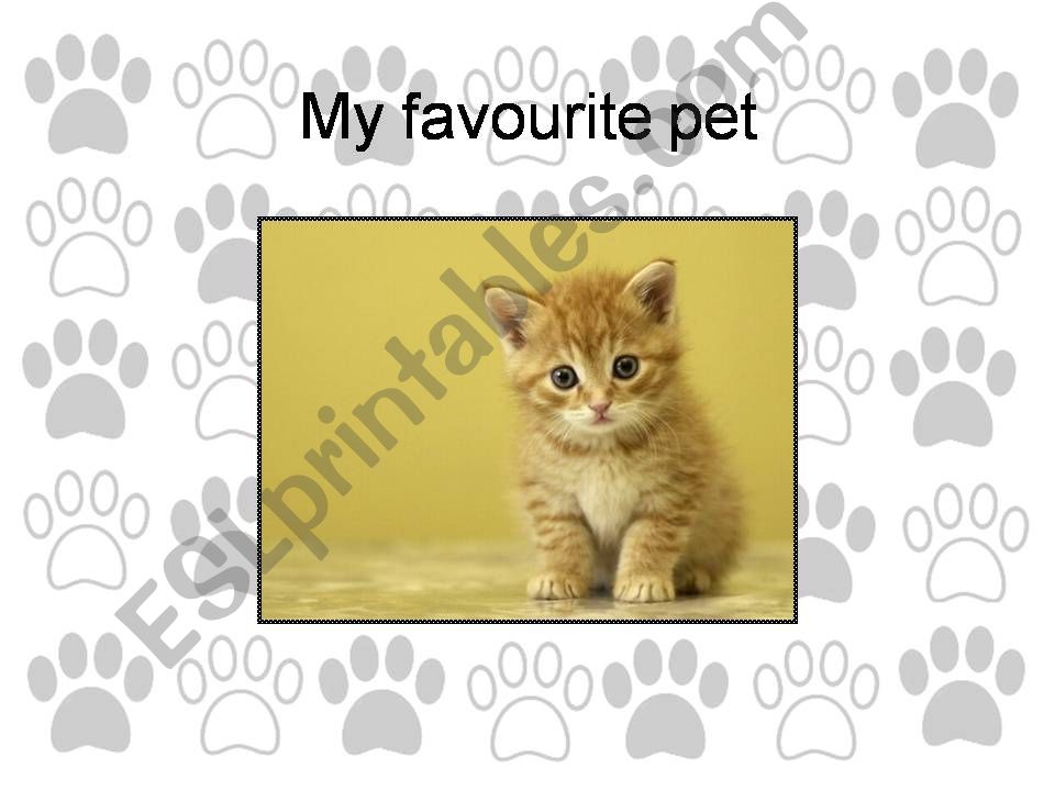 My favourite pet powerpoint