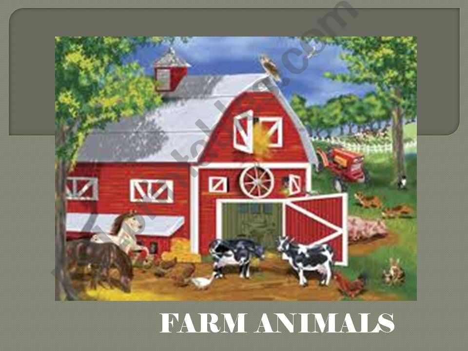 farm animals powerpoint