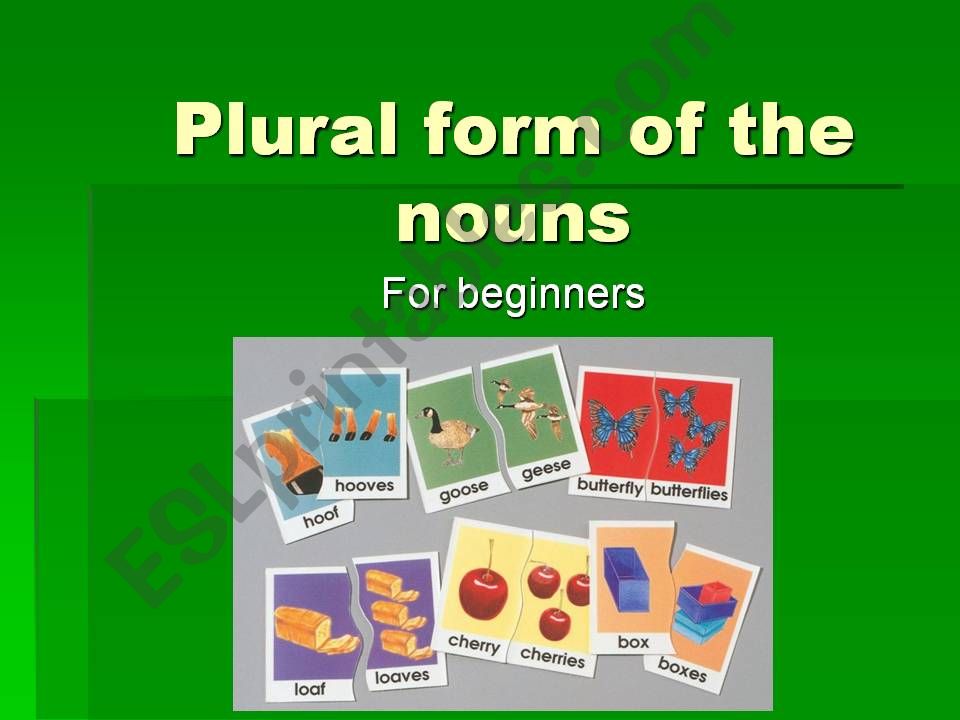 Plural form of the nouns for beginners