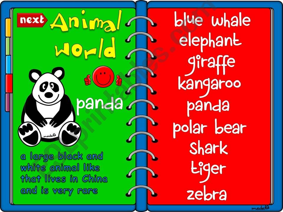 Animal world - wild animals *GAME* 1