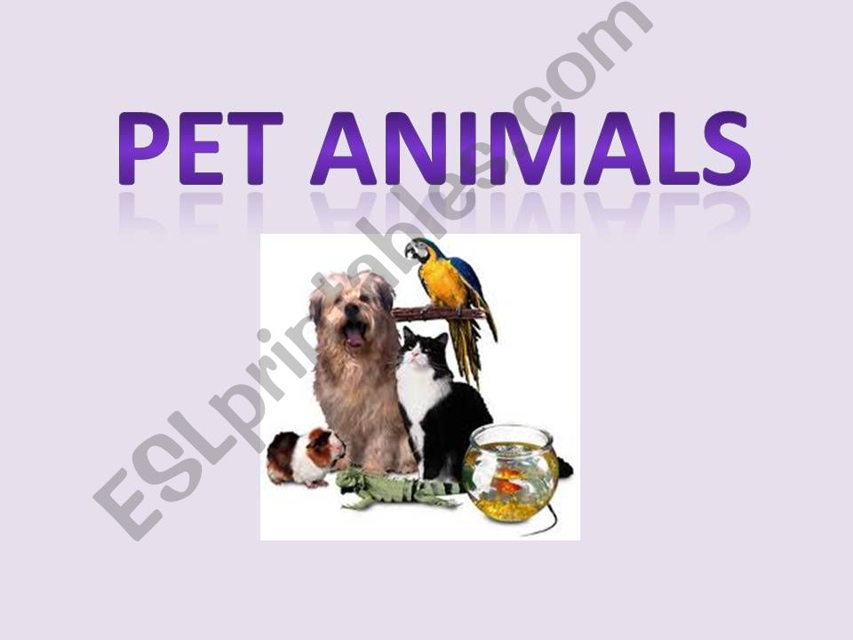 Pet animals powerpoint