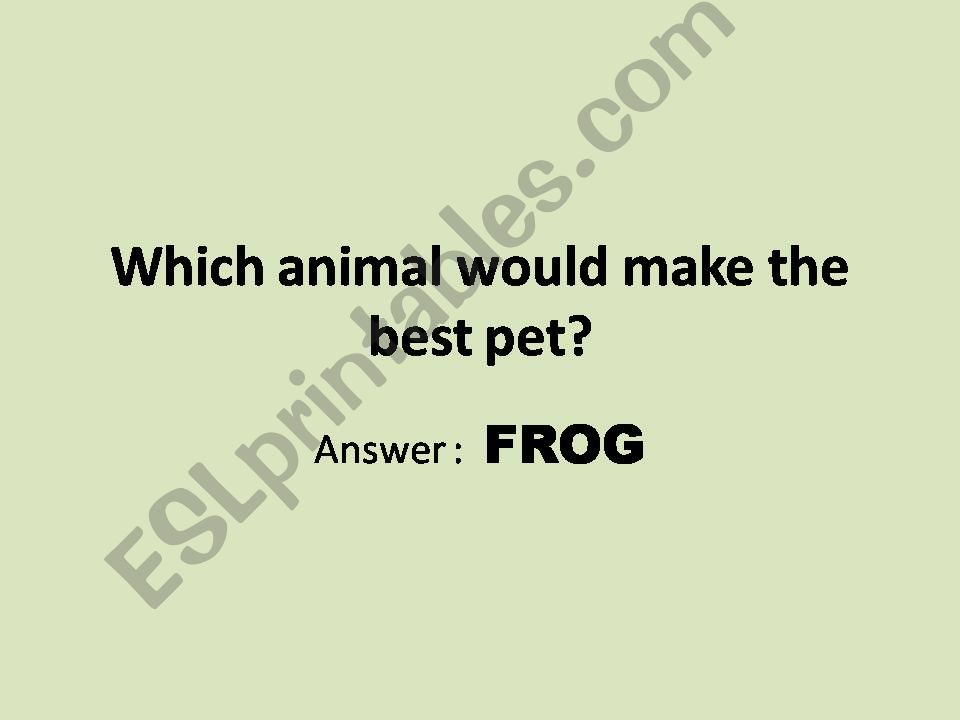 Which animal would make the best pet?