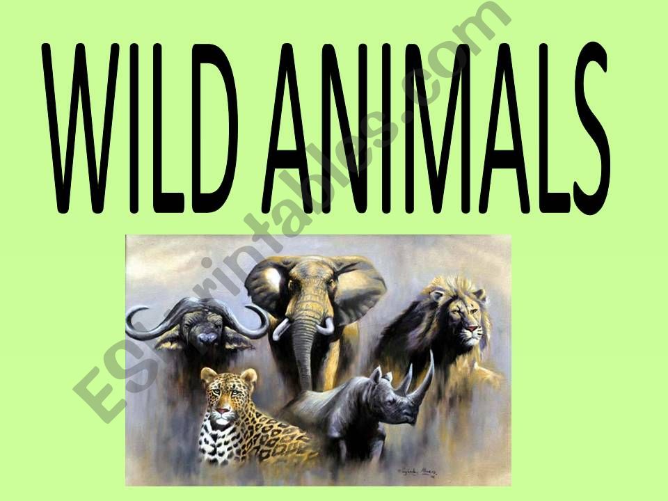 ESL - English PowerPoints: wild animals ESL - English PowerPoints: wild animals