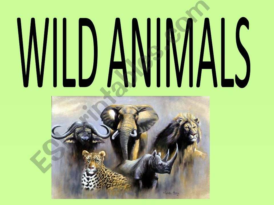 wild animals powerpoint