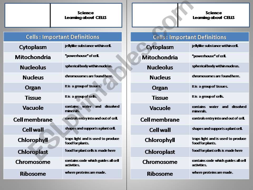 Cells Organelles powerpoint