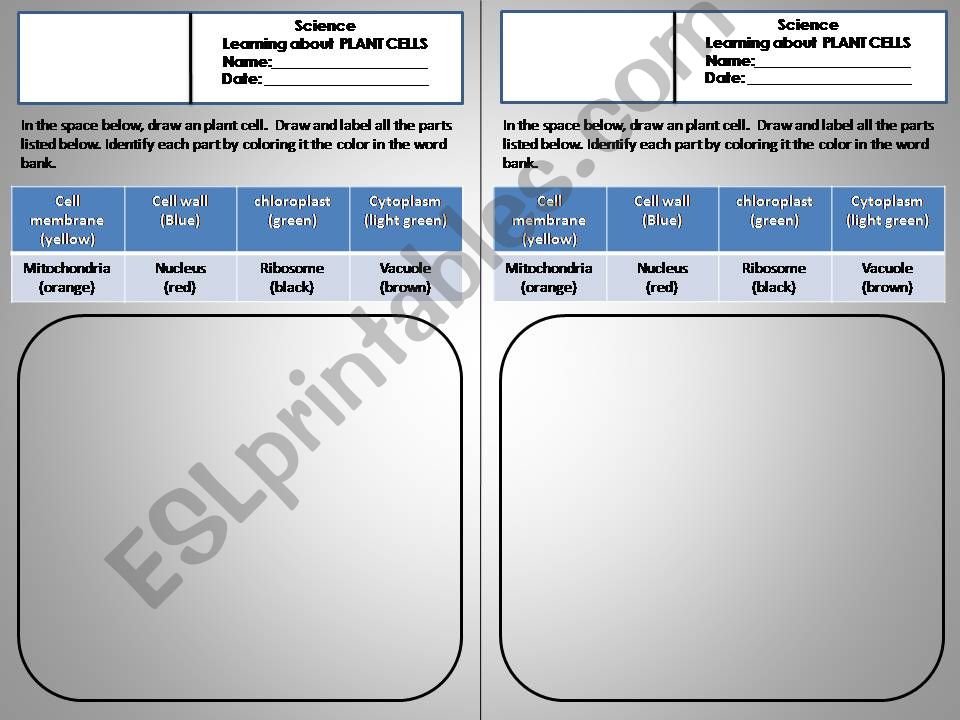 Plant Cell powerpoint